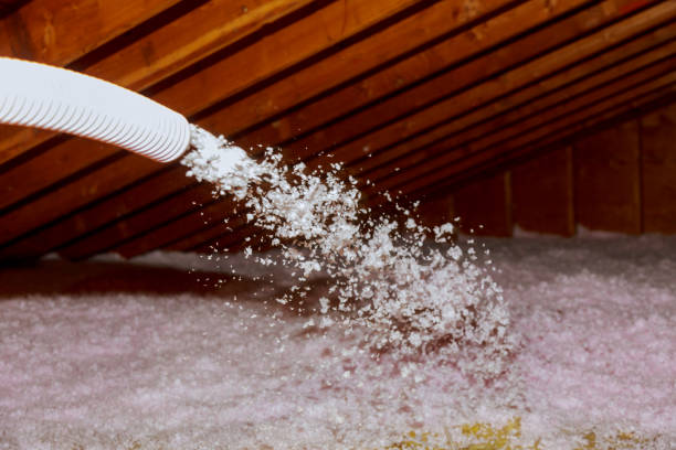 Best Insulation Installation Services in Mackinaw, IL